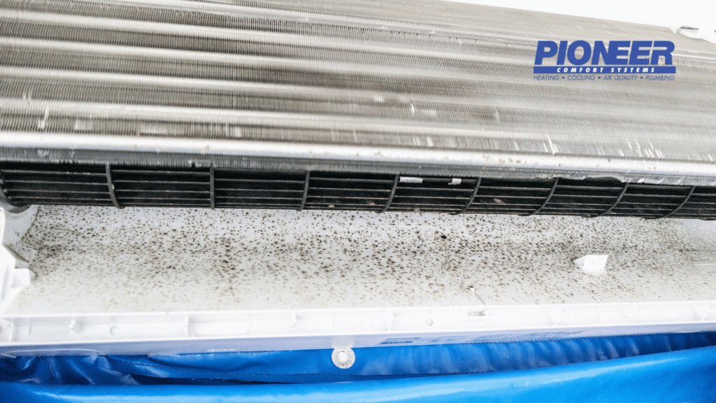 mold in air conditioning unit