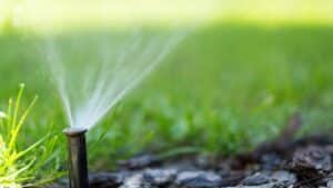 lawn sprinklers